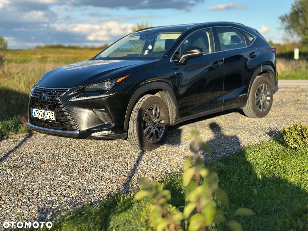 Lexus NX 300h Elegance Optimum AWD - 22