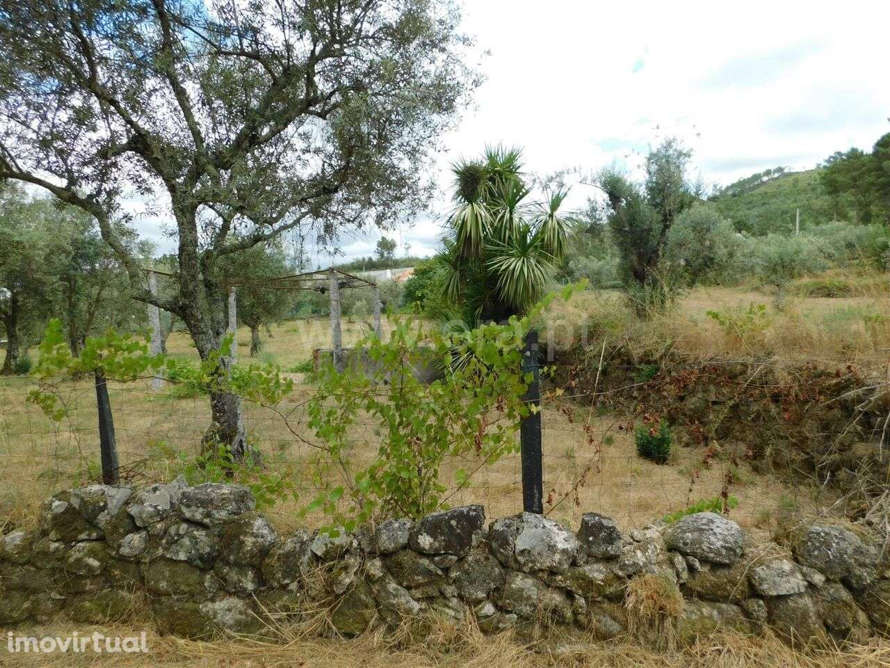 Terreno / Seia, Seia, São Romão e Lapa dos Dinheiros - Grande imagem: 2/12