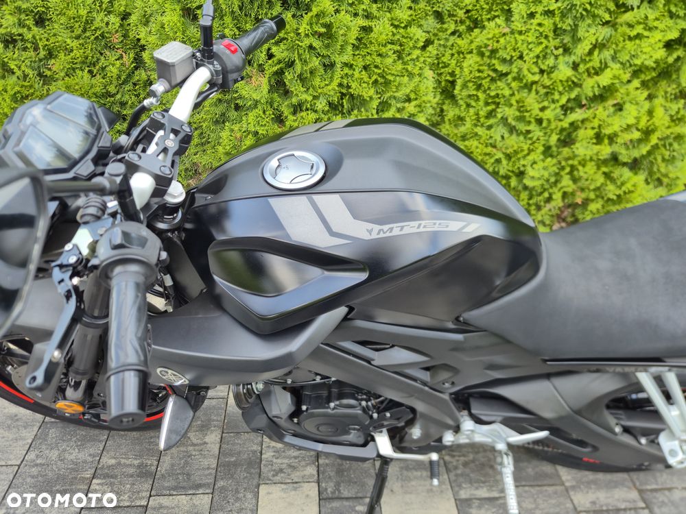 Yamaha MT - 19