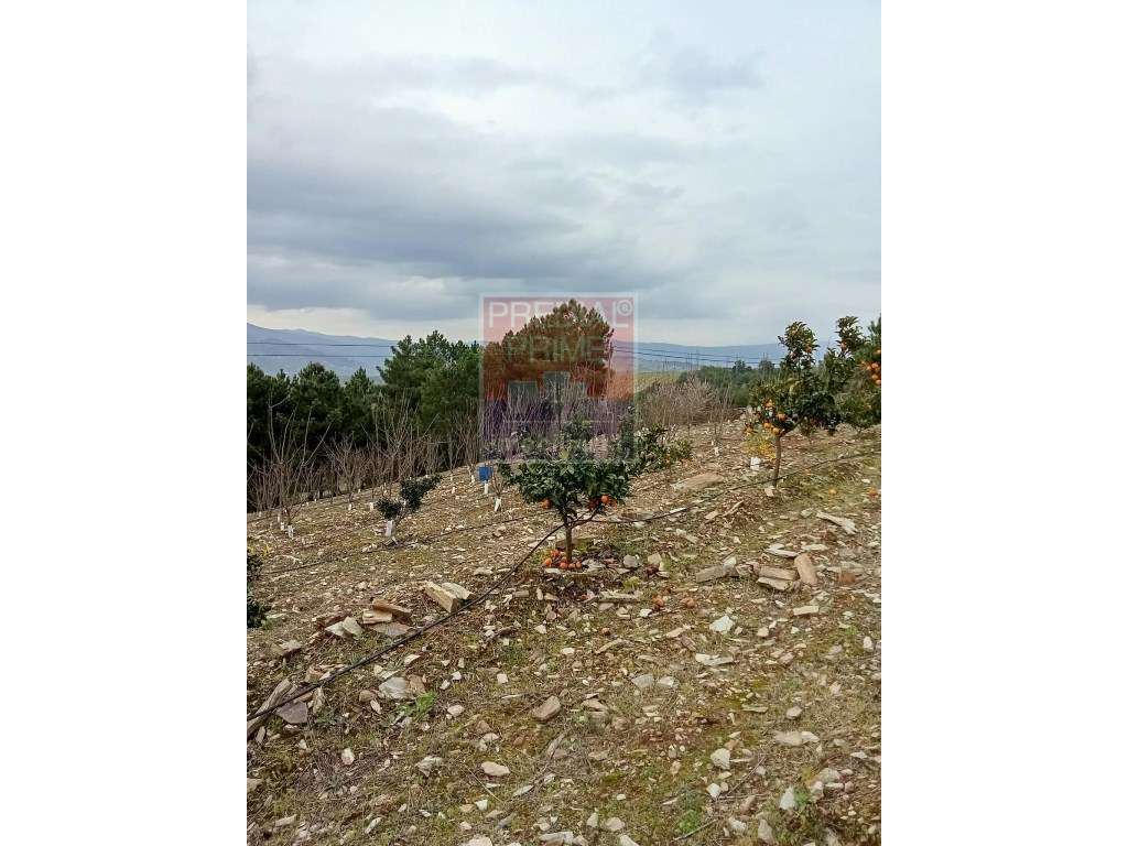 Andar moradia em Peso da Régua - Grande imagem: 5/48