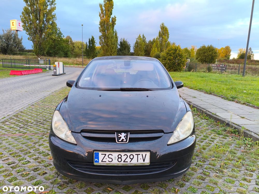 Peugeot 307 - 8