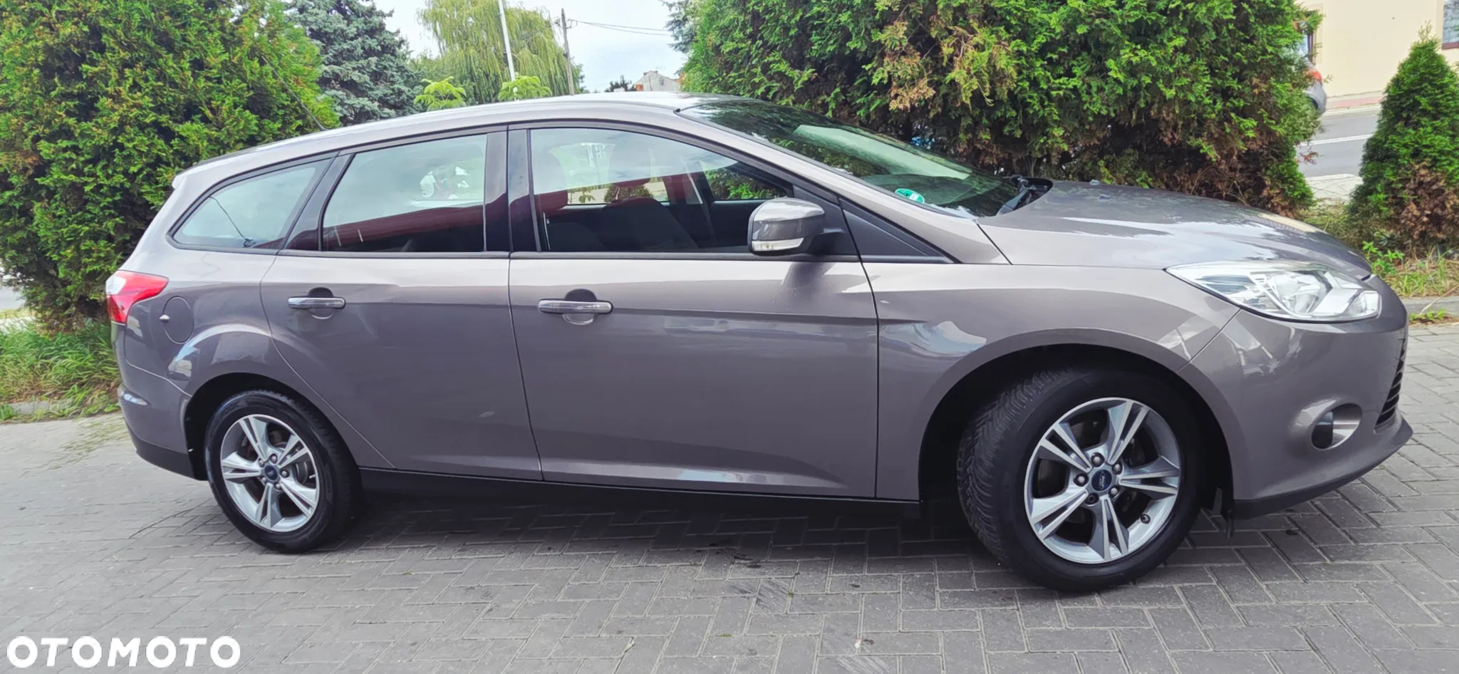Ford Focus - 15