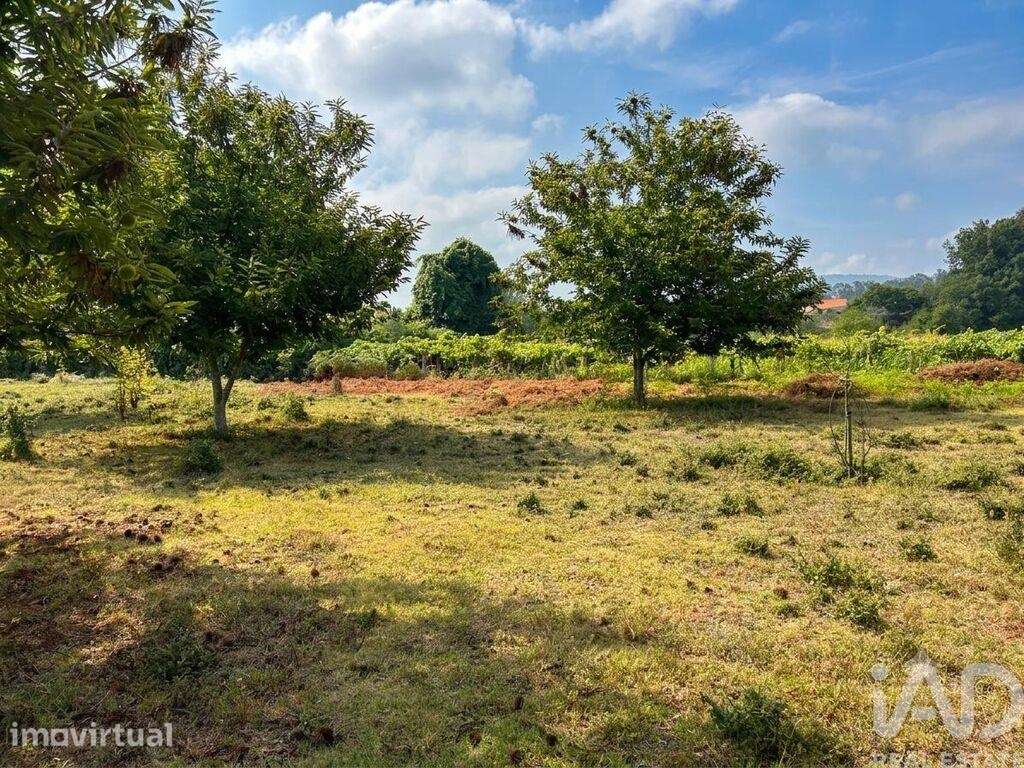 Quinta rural T3 em Fornelos e Queijada de 343,7 m2 - Grande imagem: 5/9