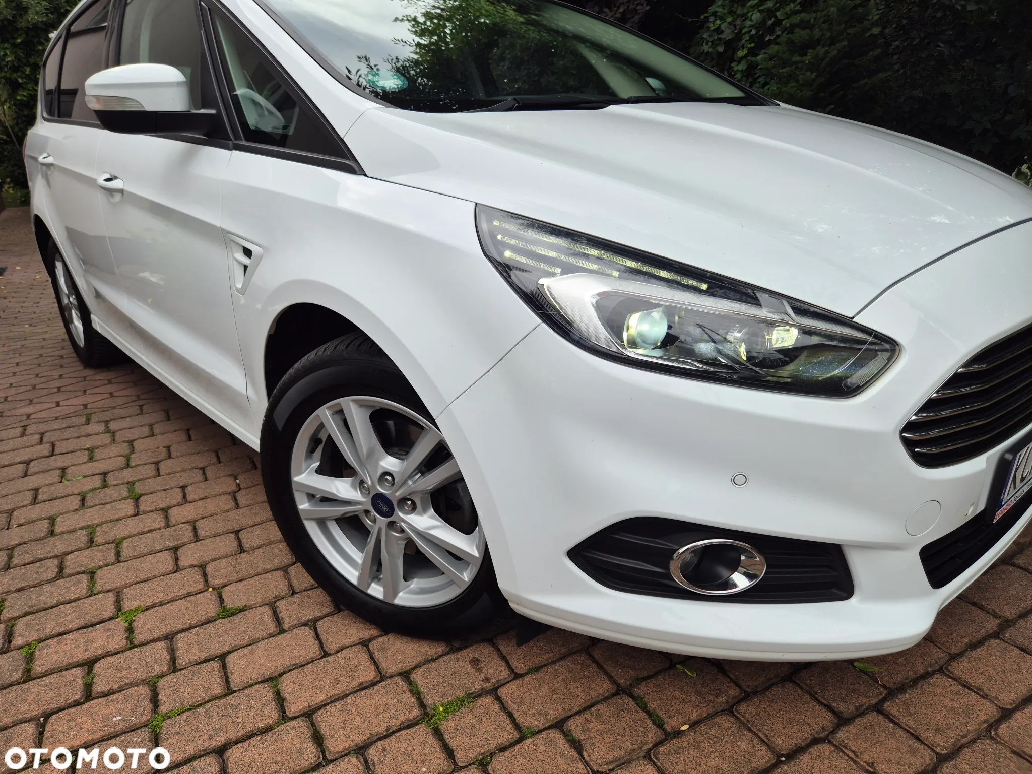 Ford S-Max 2.0 TDCi Business - 21
