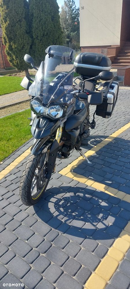 Triumph Tiger - 12