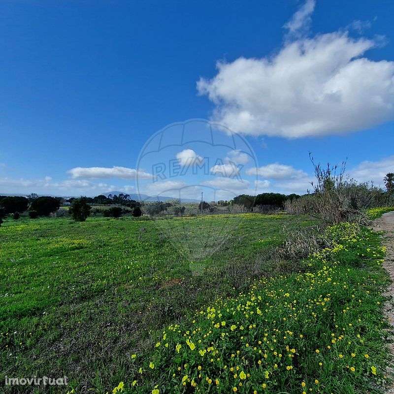 Terreno  para venda - Grande imagem: 3/3