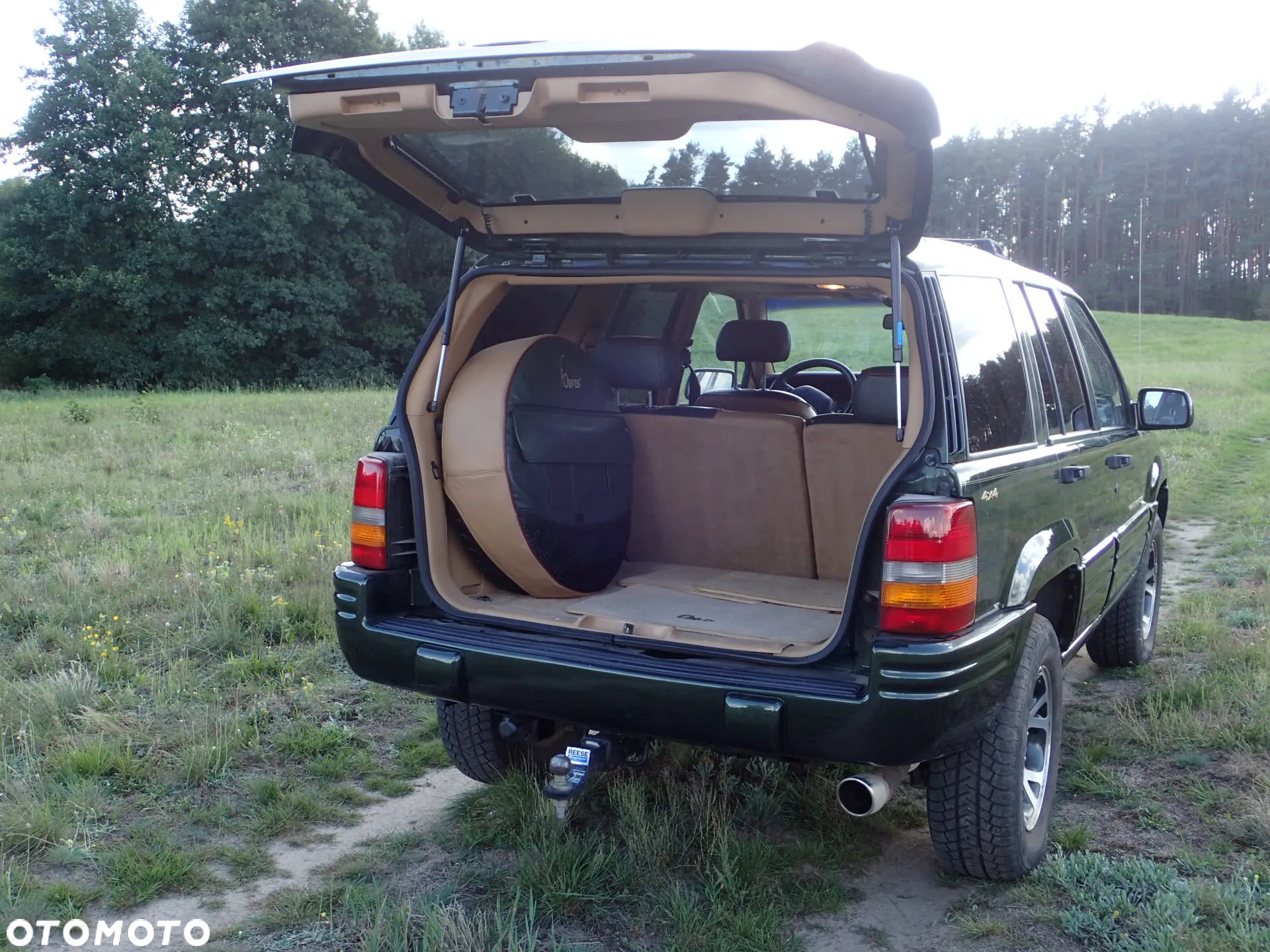 Jeep Grand Cherokee - 19