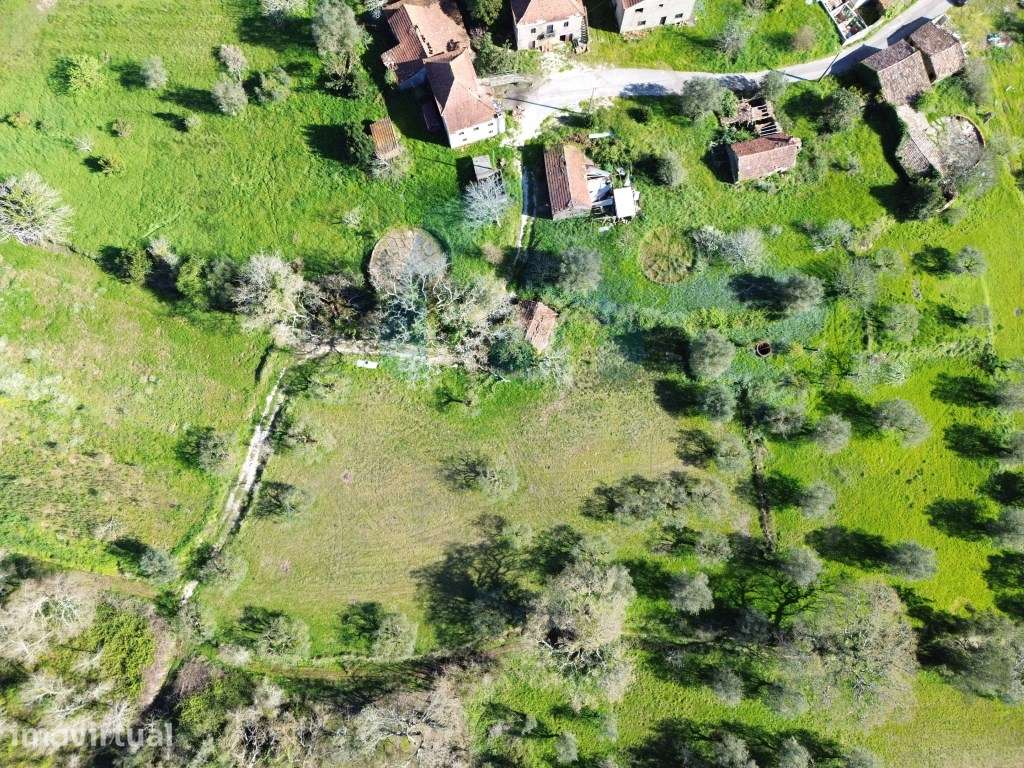 Ruína em Pedra e Terrenos com Viabilidade de Construção - Pombal - Grande imagem: 5/15