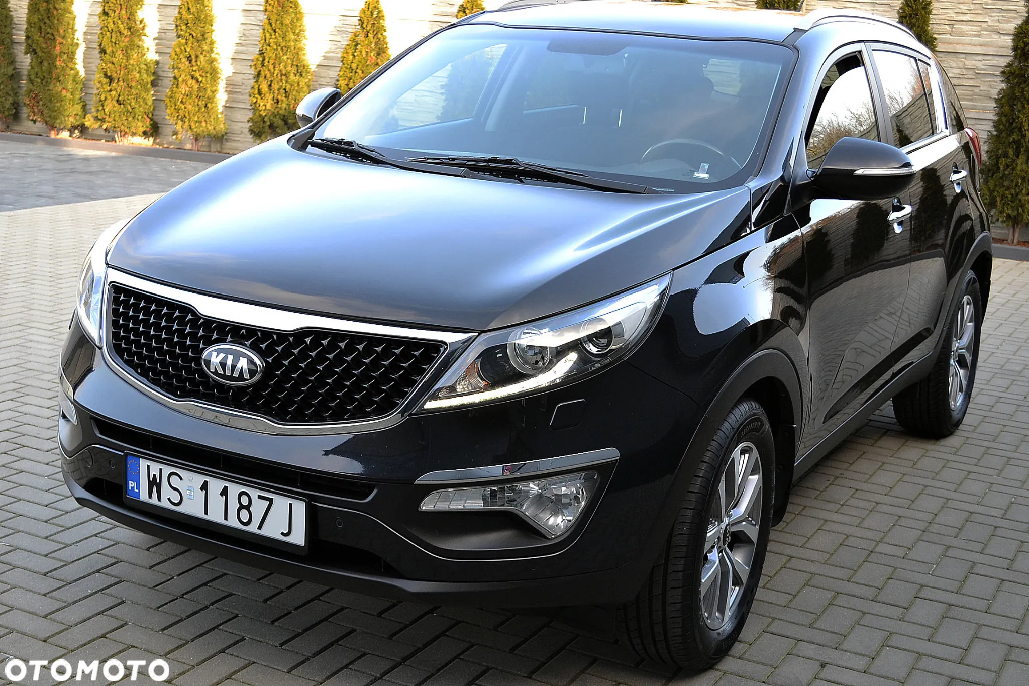 Kia Sportage - 3