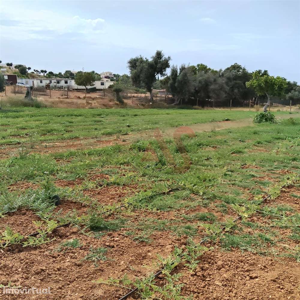 Terreno Rústico com 15.130 m² na Guia, Albufeira – Excelente Oportunid - Grande imagem: 4/11