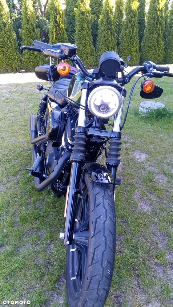 Harley-Davidson Sportster Iron 883 - 2