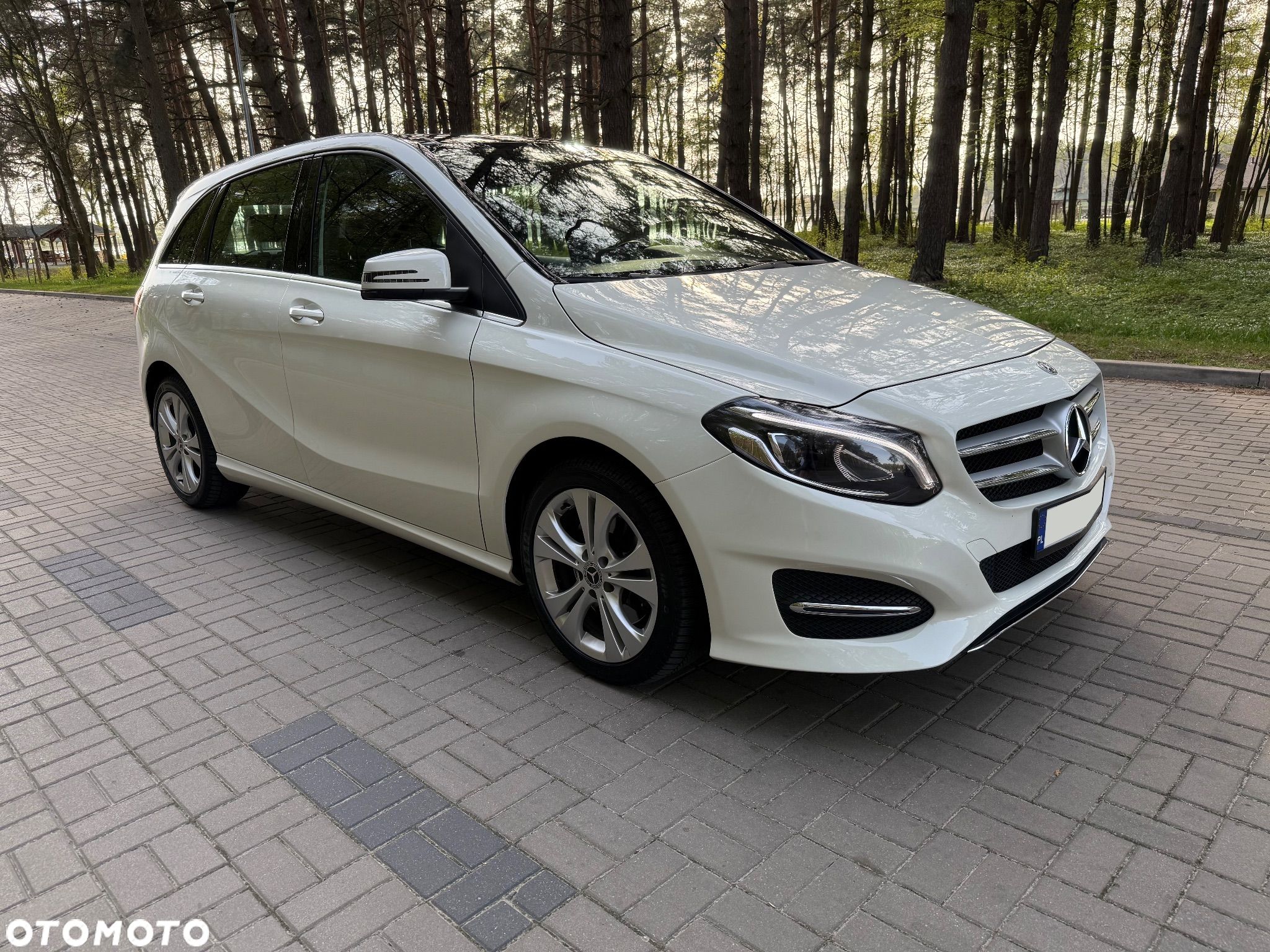 Mercedes-Benz Klasa B 250 4-Matic - 1