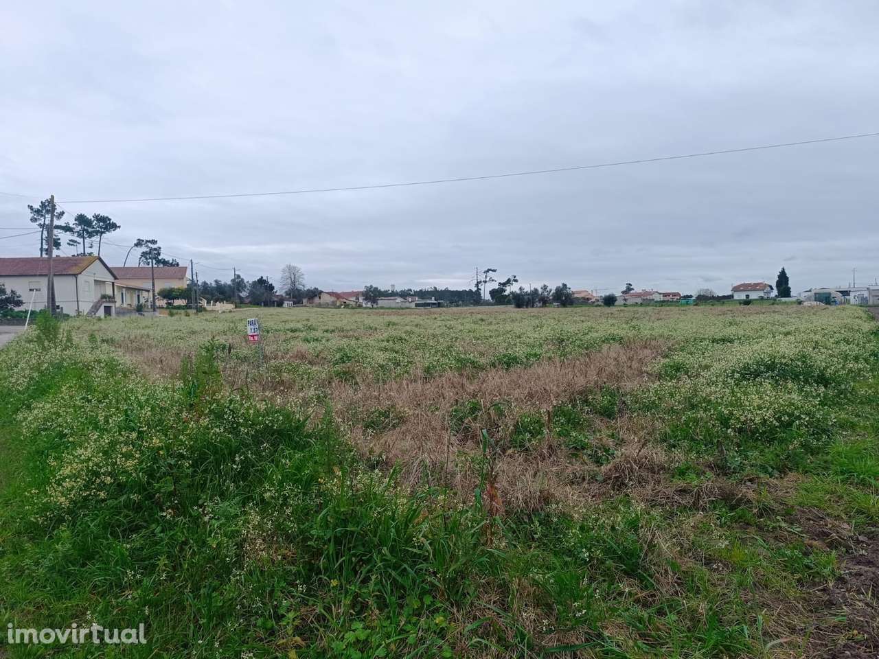 Terreno  Venda em Louriçal,Pombal - Grande imagem: 3/6