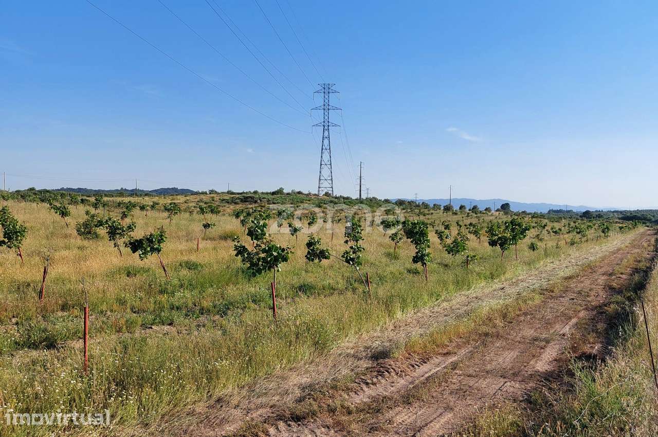 Quinta Agro-Biológica e Projeto de Agroturismo | Belmonte - Grande imagem: 2/26