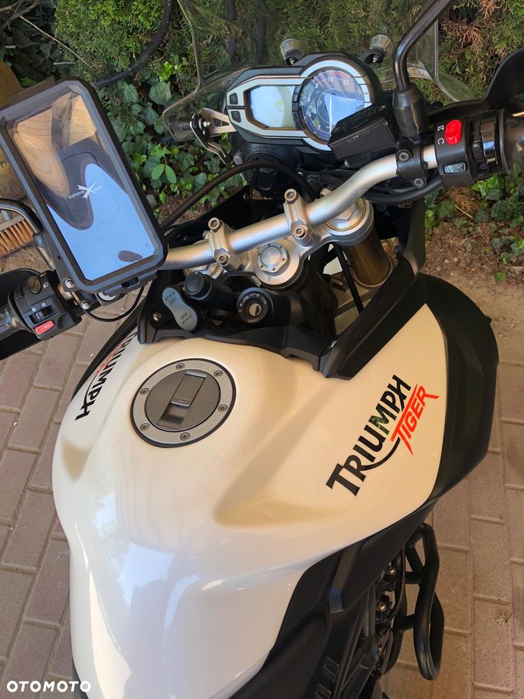 Triumph Tiger - 5