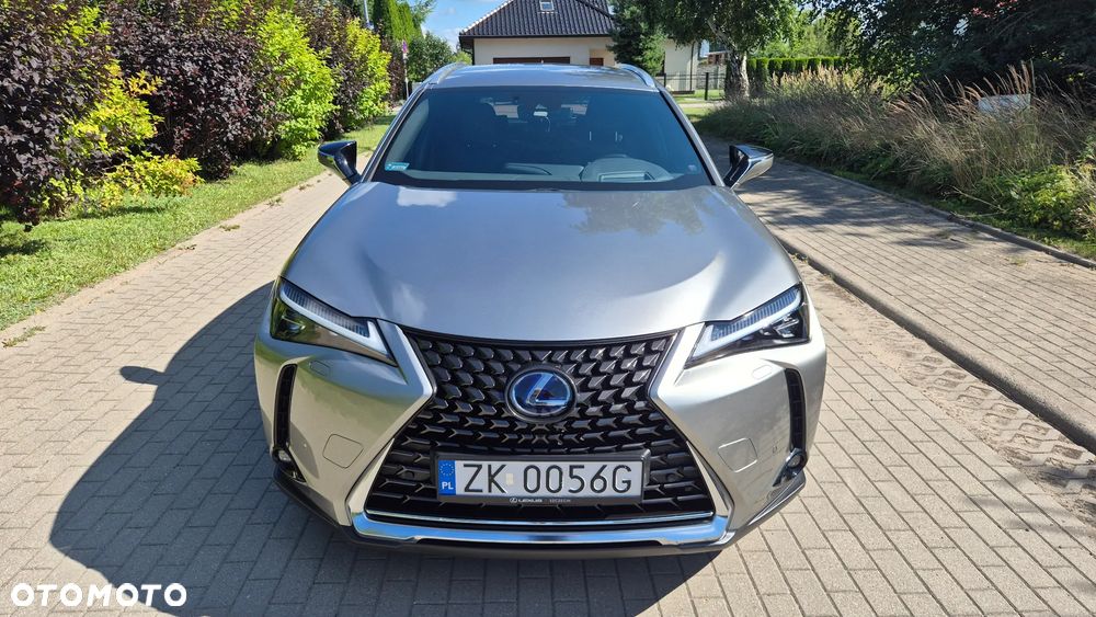 Lexus UX 250h Prestige 2WD - 5
