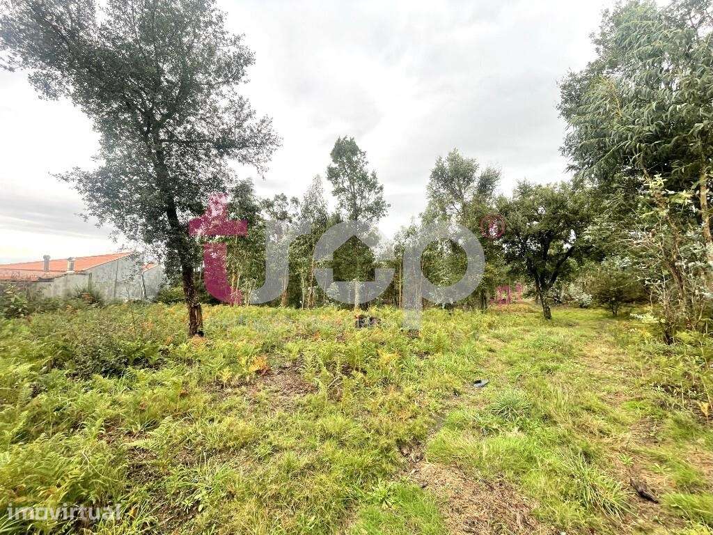 Terreno 22.600m2 Galegos S. Martinho - Grande imagem: 3/6