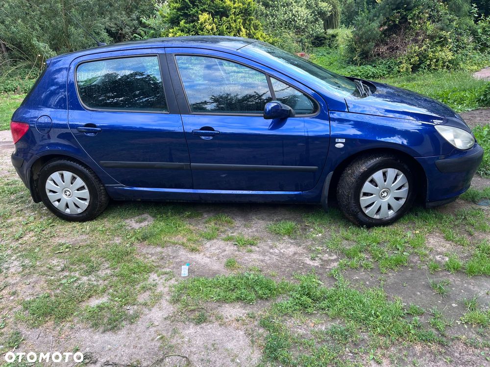 Peugeot 307 - 3