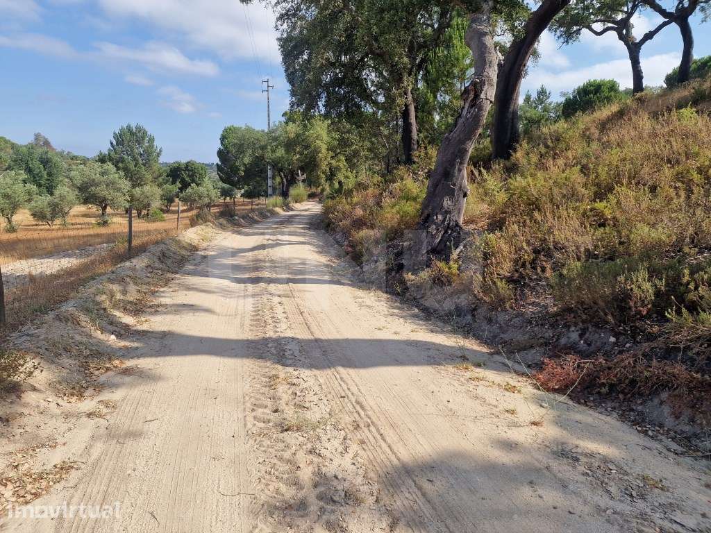 Terreno 14 HECTARES COM SOBREIROS E PINHEIROS - Grande imagem: 3/27