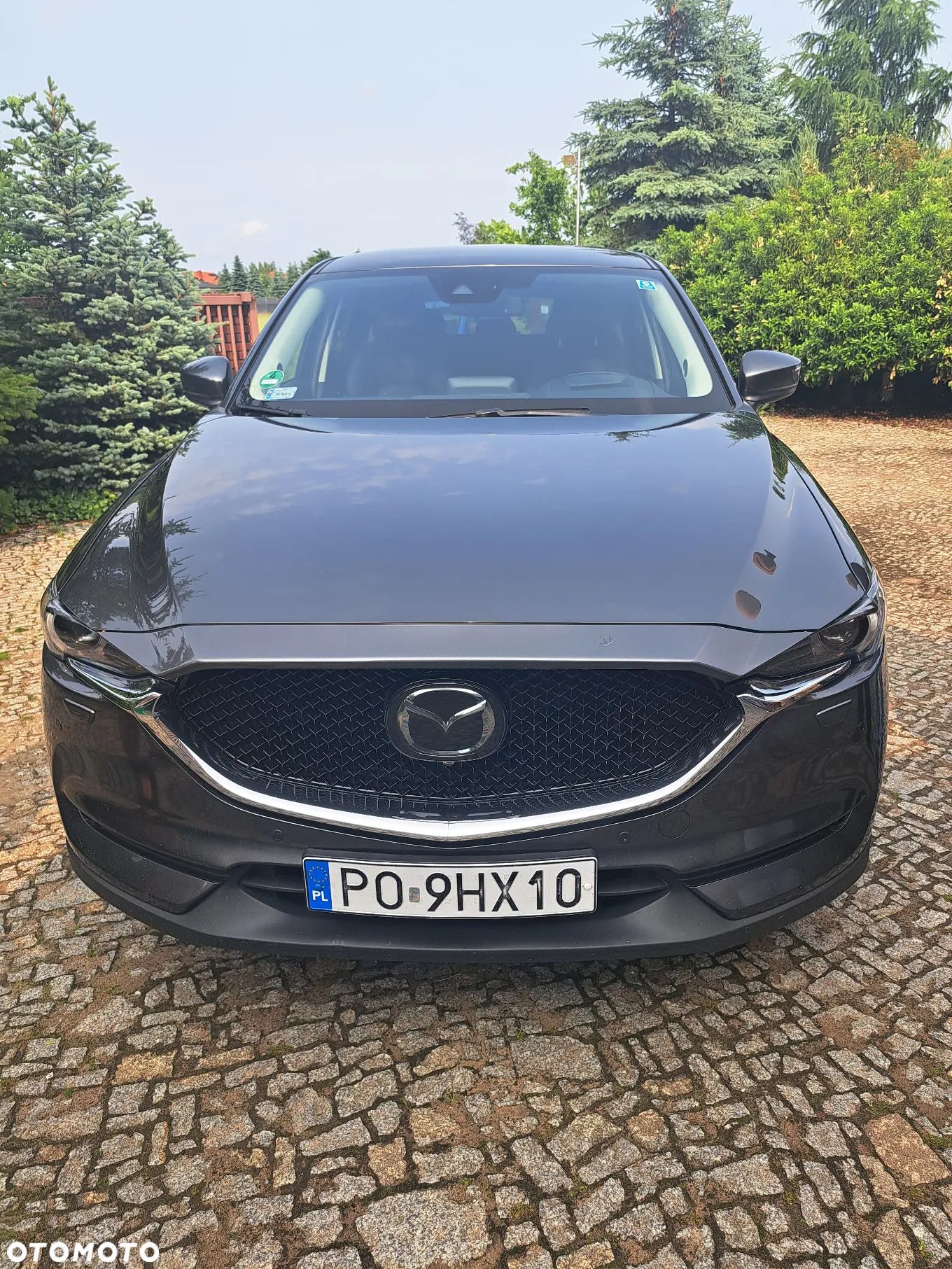 Mazda CX-5 2.5 Skyprestige AWD - 1