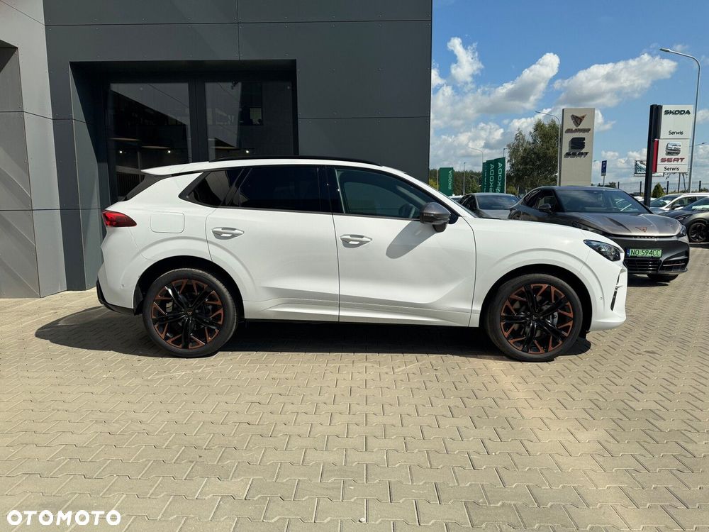 Cupra Terramar - 10