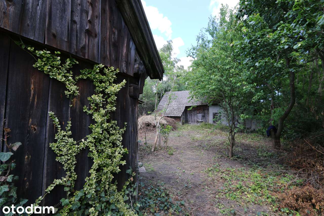 Siedlisko, Parcice, dom, spokojna okolica, działka rekreacyjna, - Pełny obrazek: 3/4