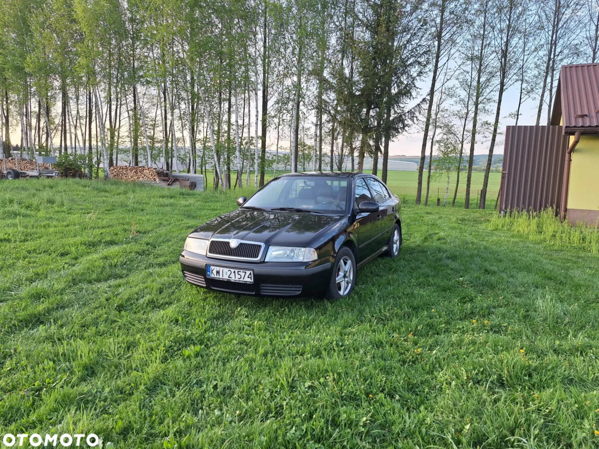 Skoda Octavia 1.6 Tour - 2