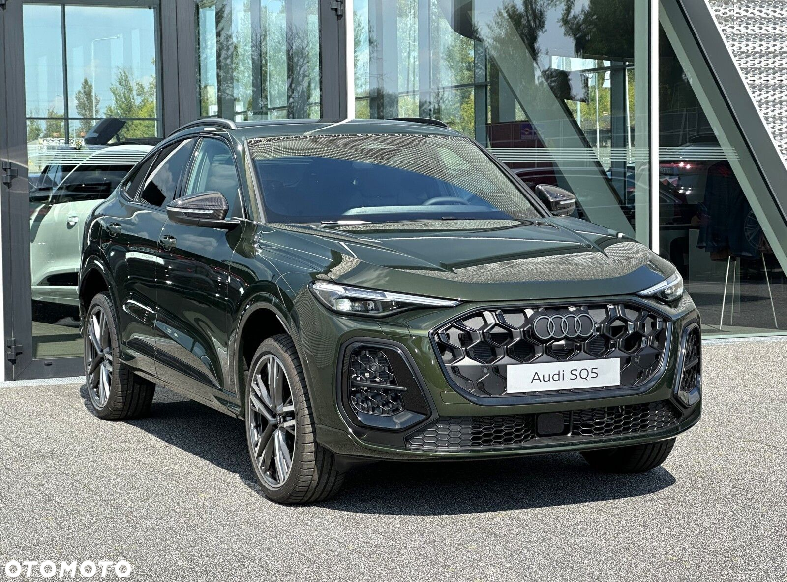 Audi SQ5 - 3