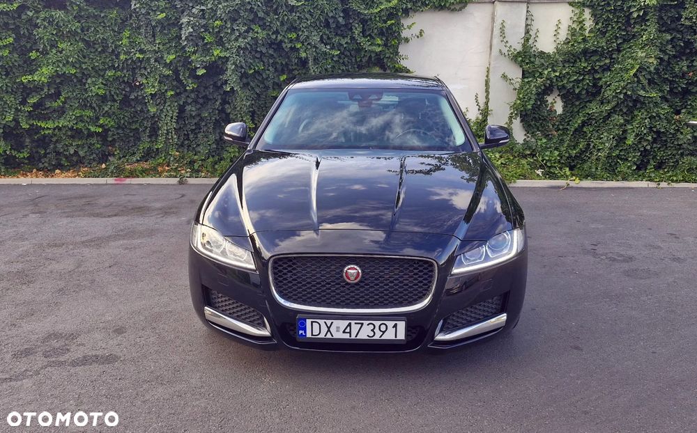 Jaguar XF - 16