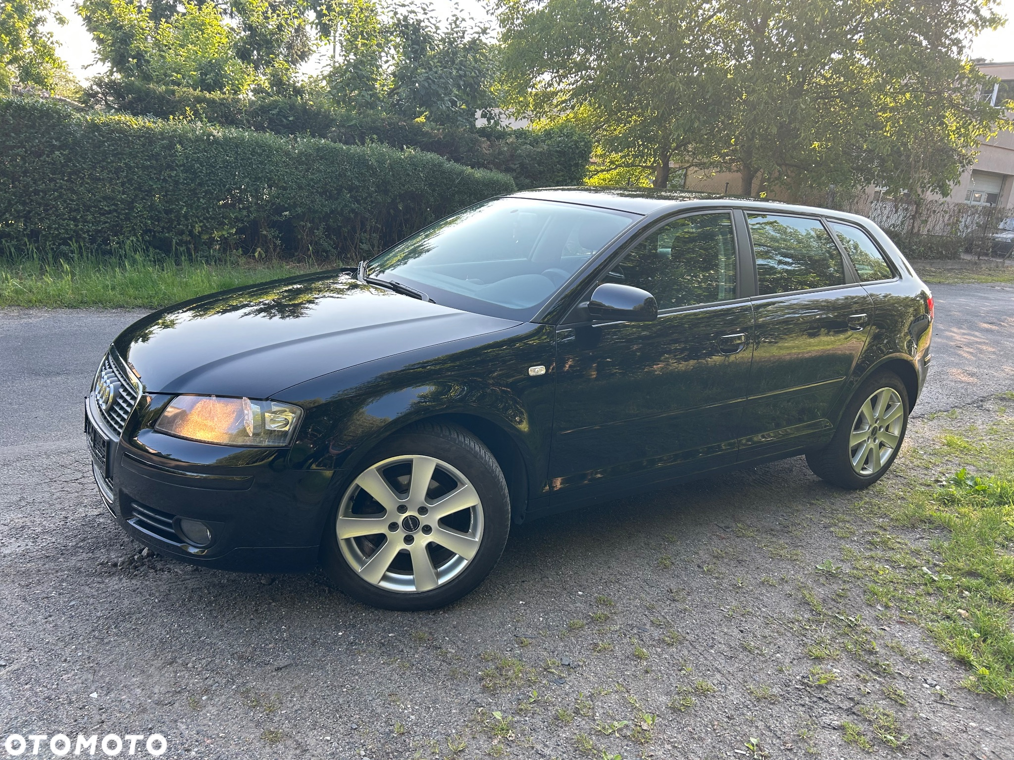Audi A3 1.6 Sportback Ambition - 25