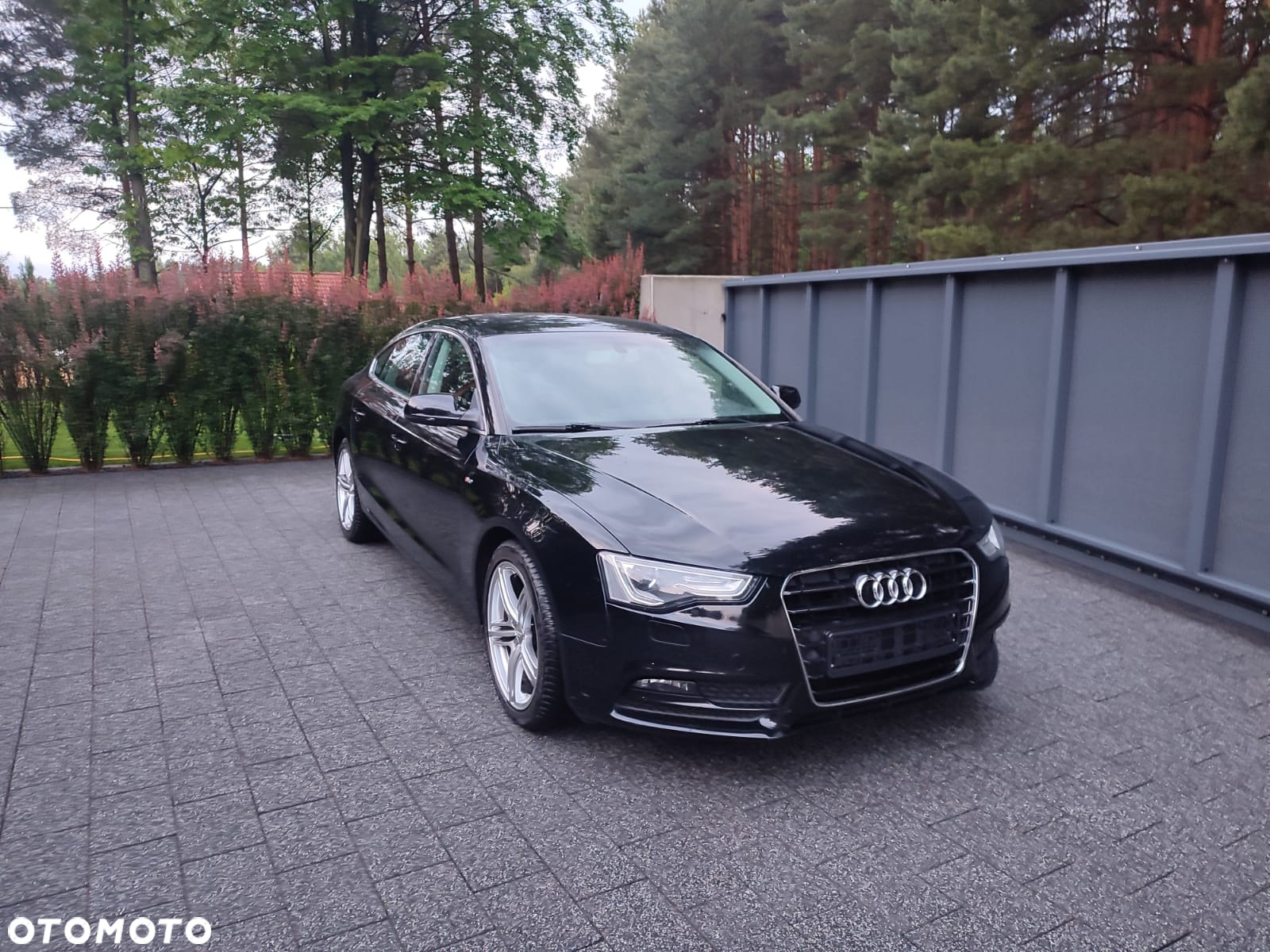 Audi A5 1.8 TFSI Sportback - 17