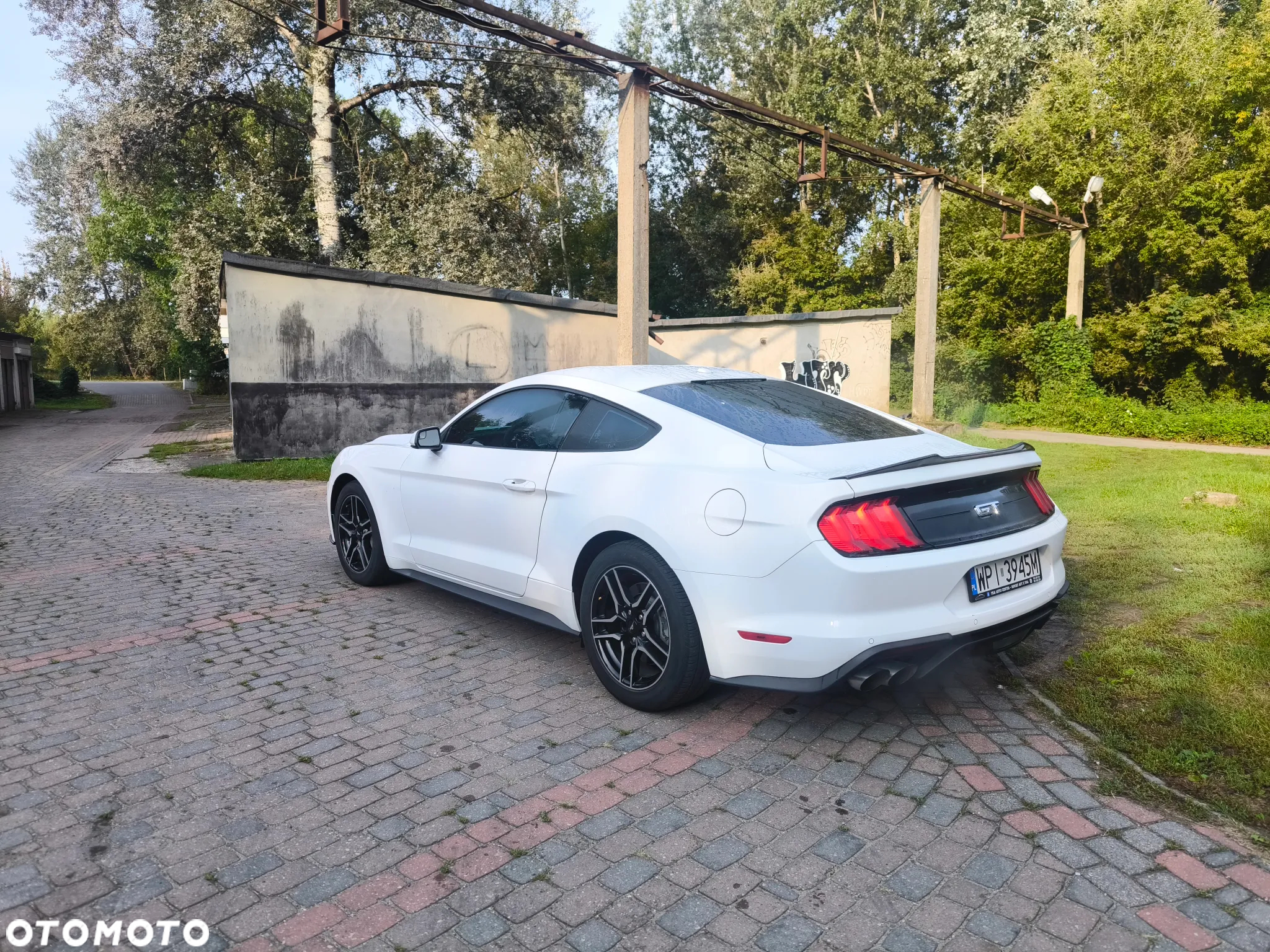 Ford Mustang - 16
