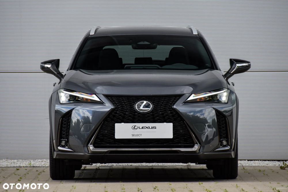 Lexus UX ver-300h-f-sport-design-awd - 16