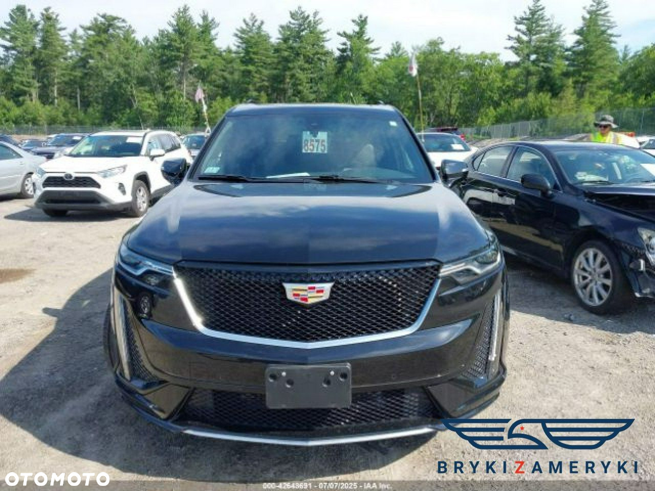 Cadillac Inny - 8