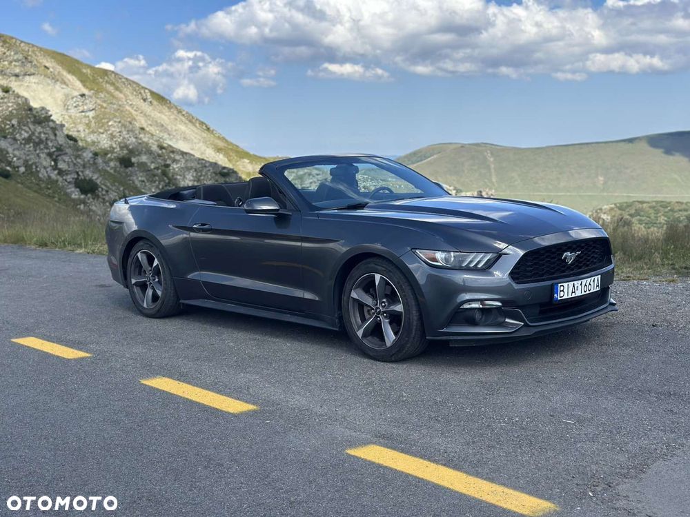 Ford Mustang - 1