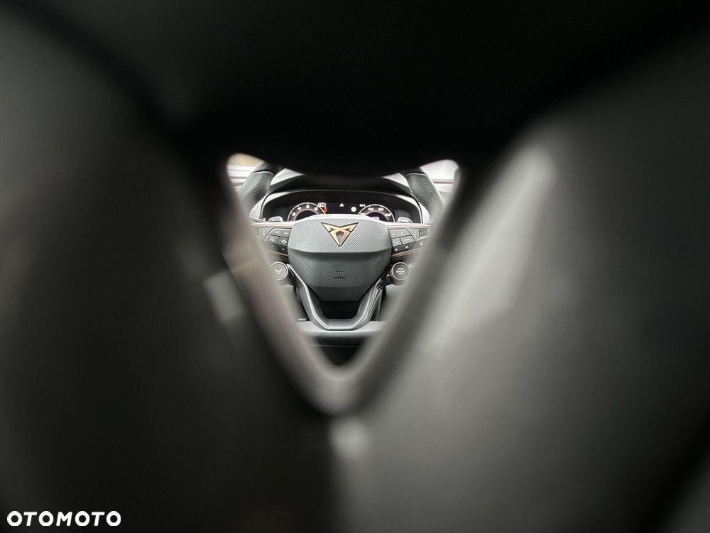 Cupra Terramar 2.0 TSI 4Drive DSG - 20