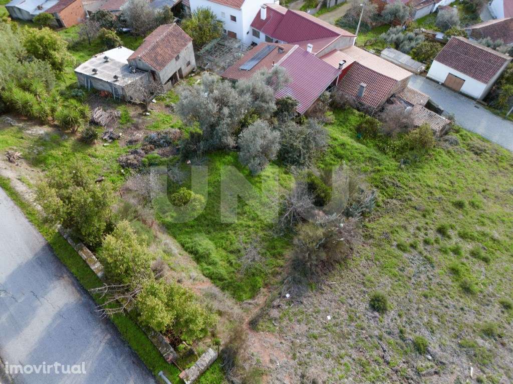 Moradia T3 com Logradouro - Grande imagem: 4/13