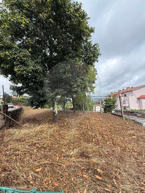 Terreno  para venda - Grande imagem: 3/7