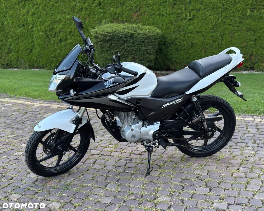 Honda CBF - 5