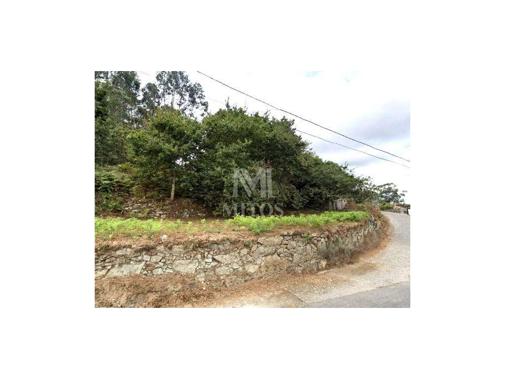 Terreno com ruína em Tregosa - Barcelos - Grande imagem: 5/15