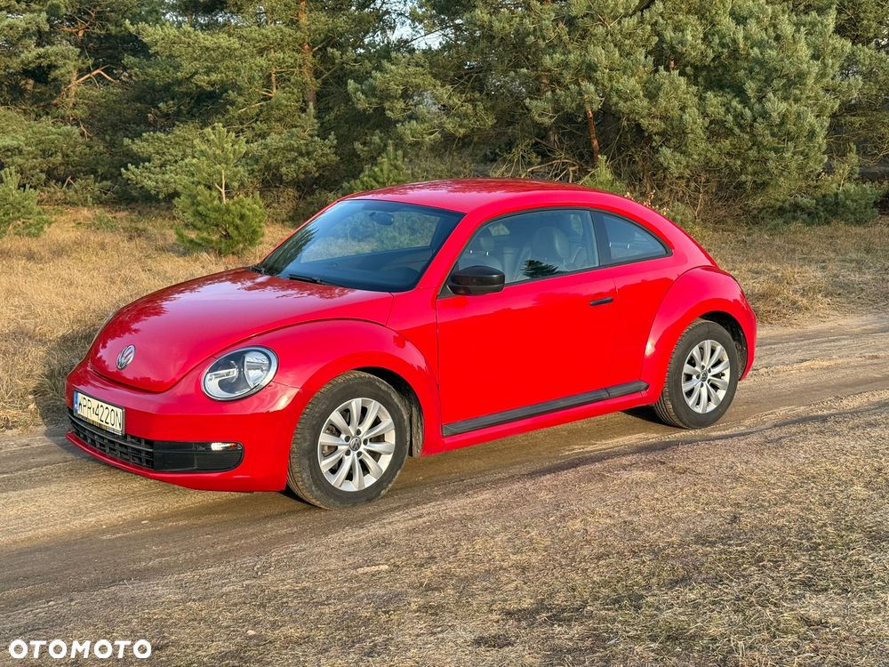 Volkswagen Beetle - 11