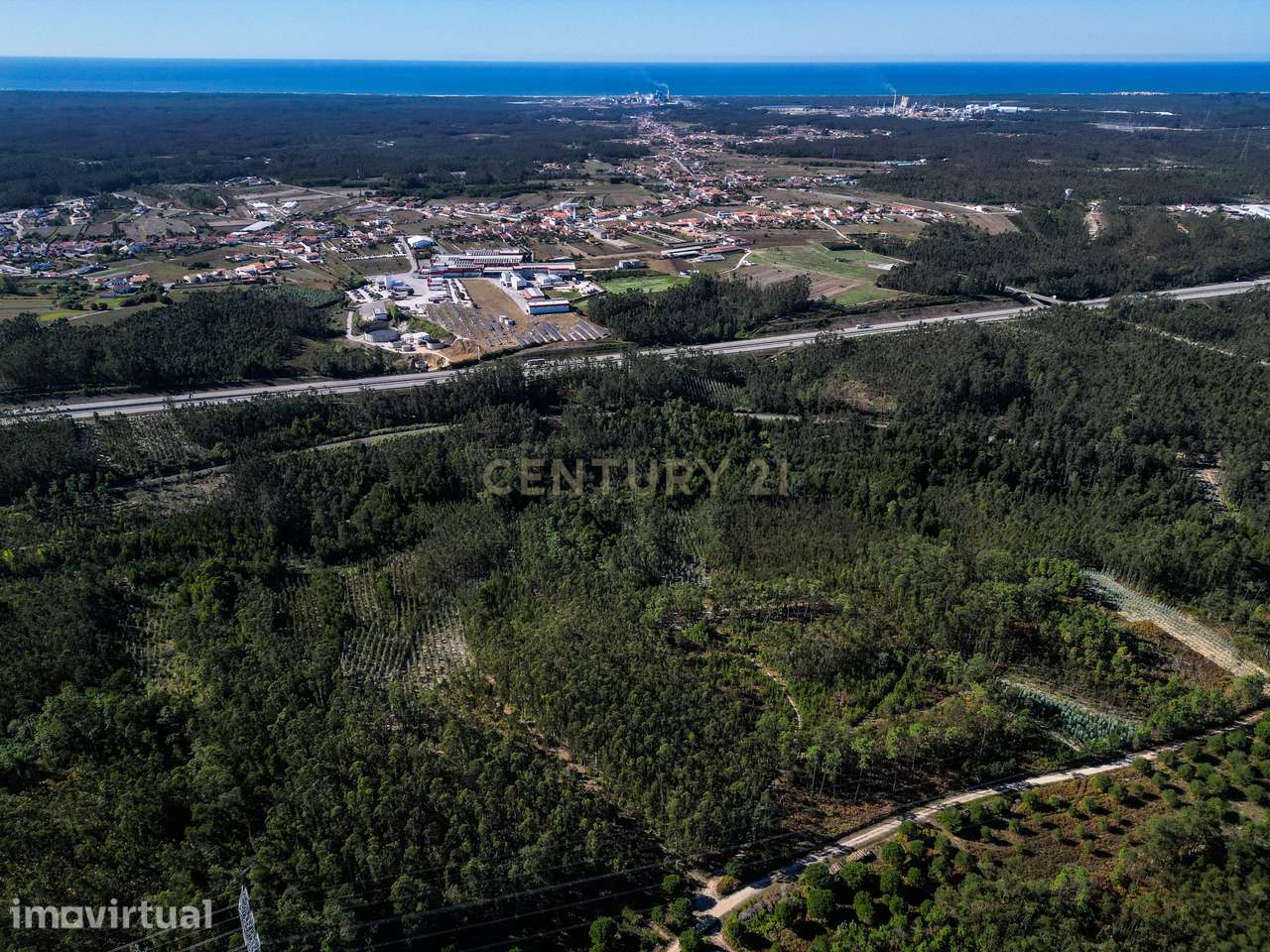 Terreno Florestal em Marinha das Ondas, Figueira da Foz - Grande imagem: 4/9