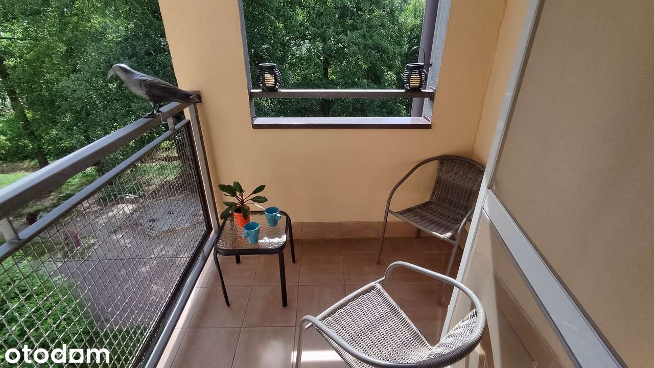 Studio 36 m - ul. Chmieleniec.