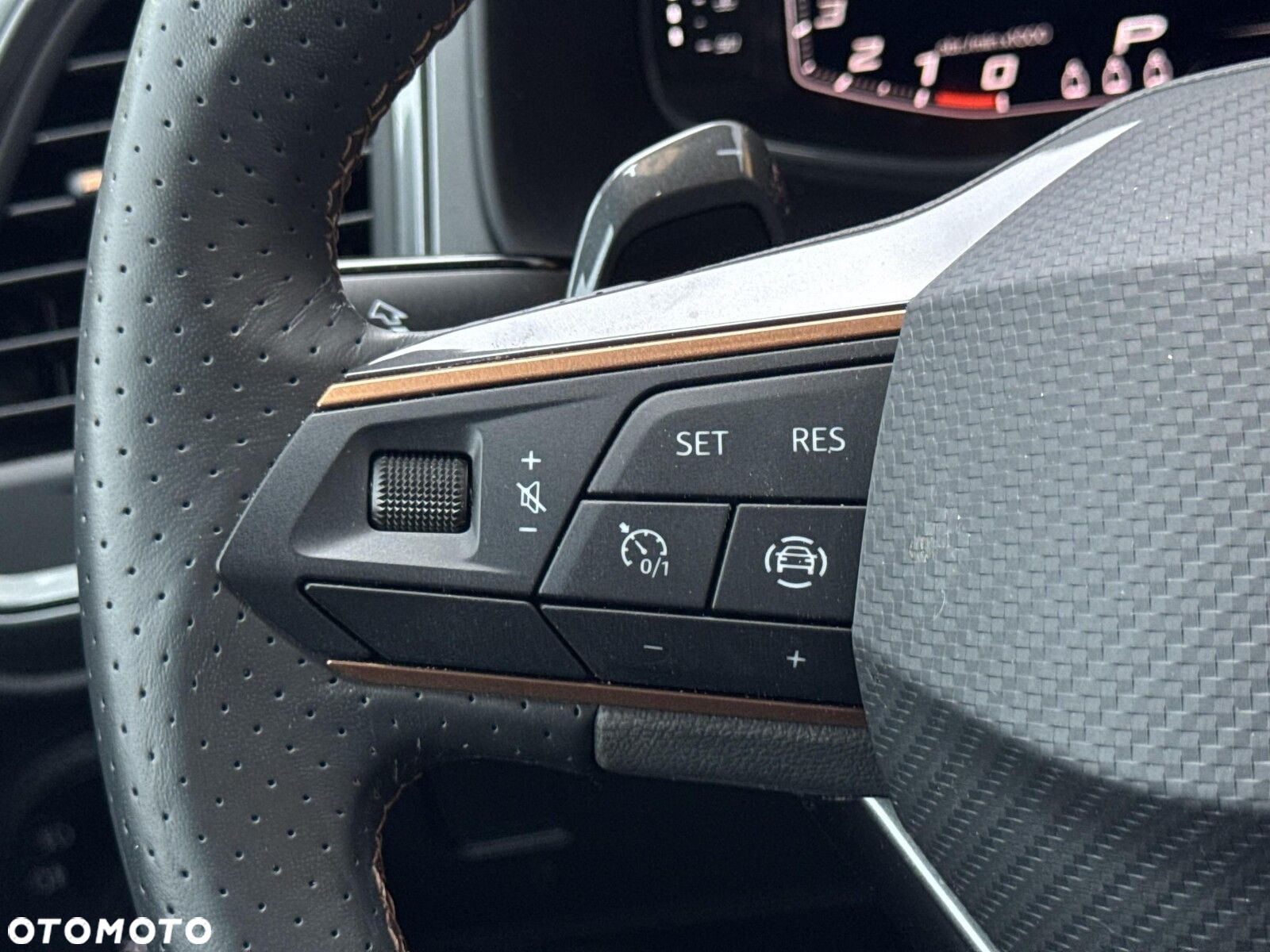 Cupra Ateca - 18