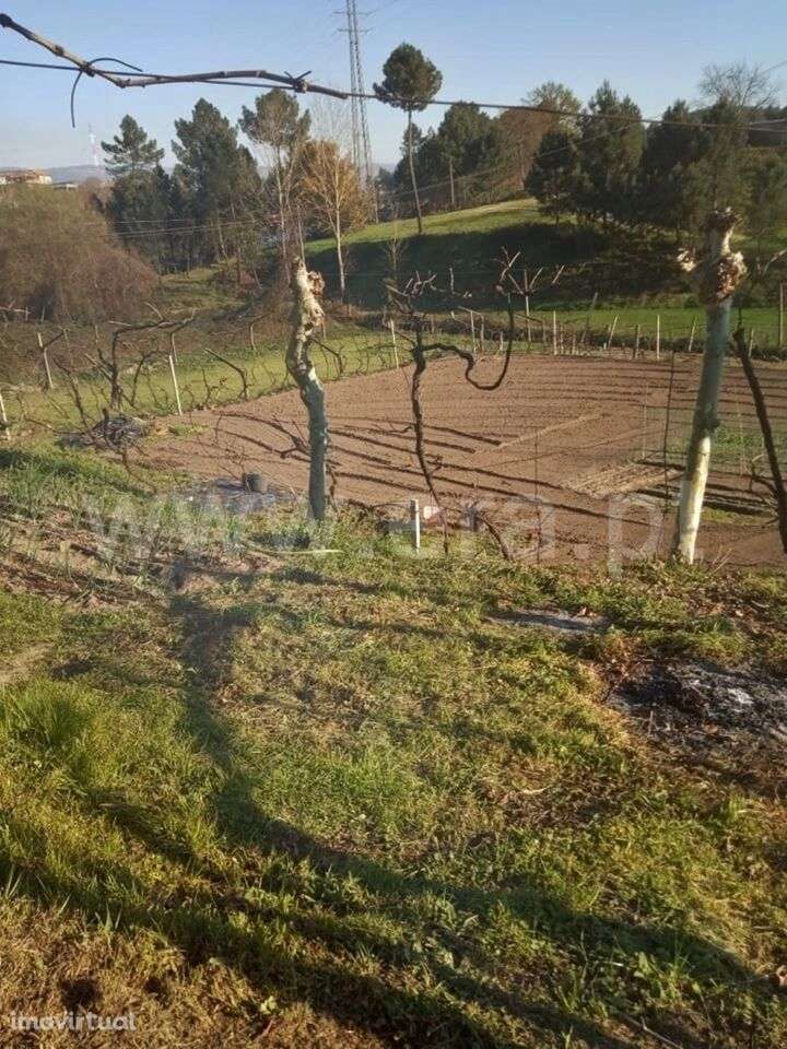 Moradia T1 / Marco de Canaveses, Constance - Grande imagem: 5/6