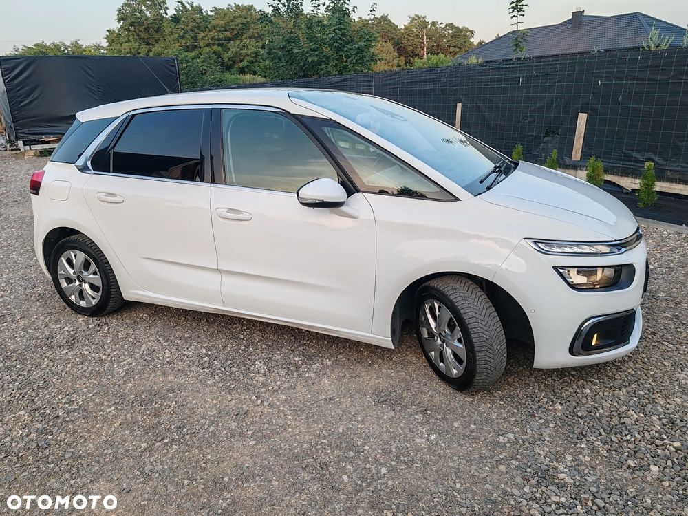 Citroën C4 Picasso 1.6 BlueHDi MoreLife S&S - 16