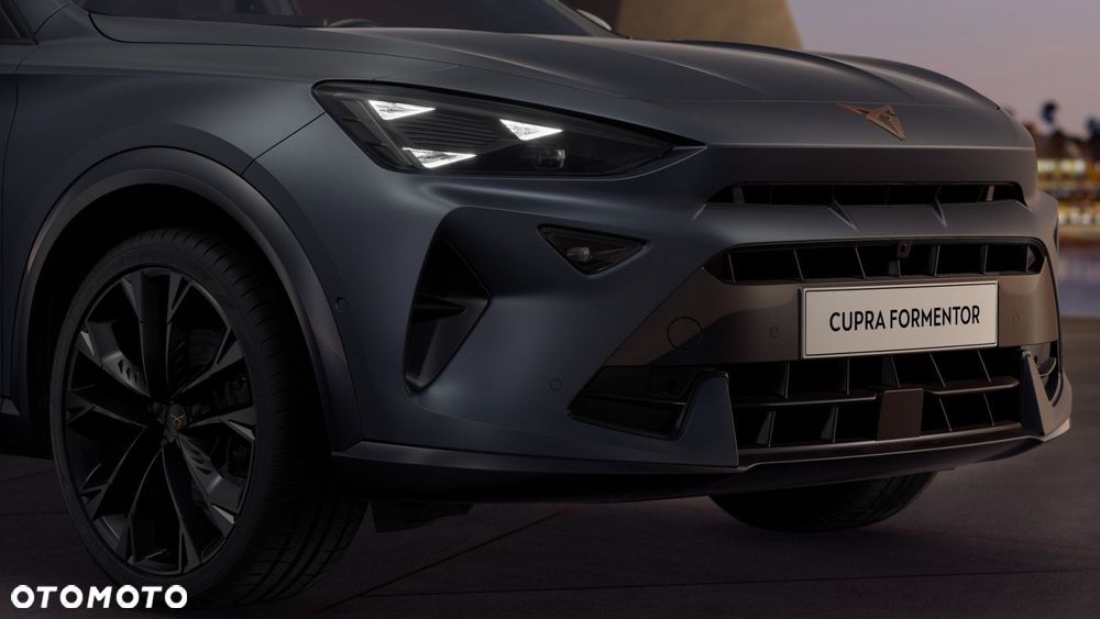 Cupra Formentor 2.0 TSI 4Drive DSG - 9