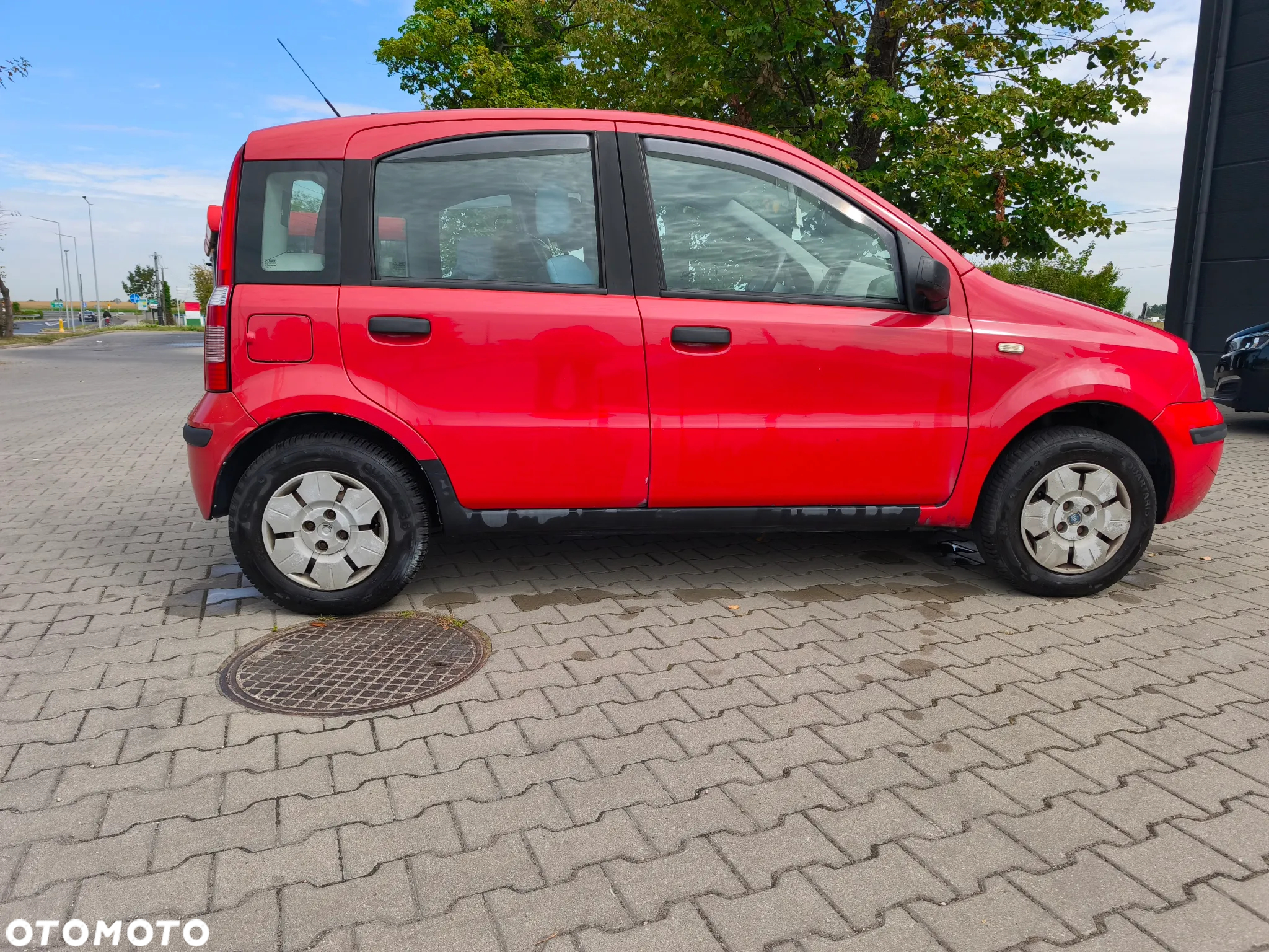 Fiat Panda - 2
