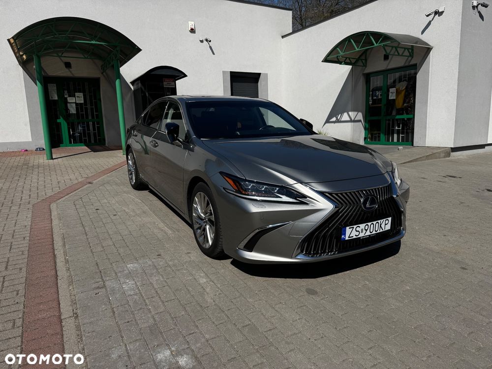 Lexus ES 300h Omotenashi - 4