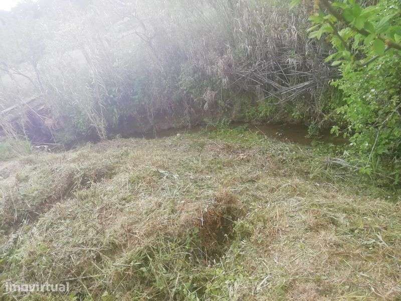 Terreno Rústico, Portugal - Grande imagem: 2/4